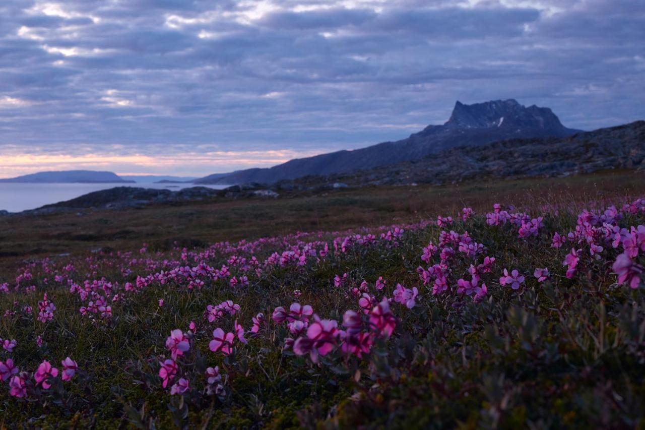 Hotel Nordbo Nuuk Buitenkant foto